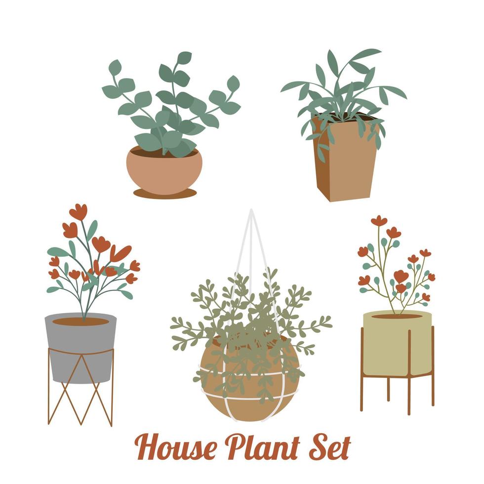 House Plant Set in the Pot Bundles vector
