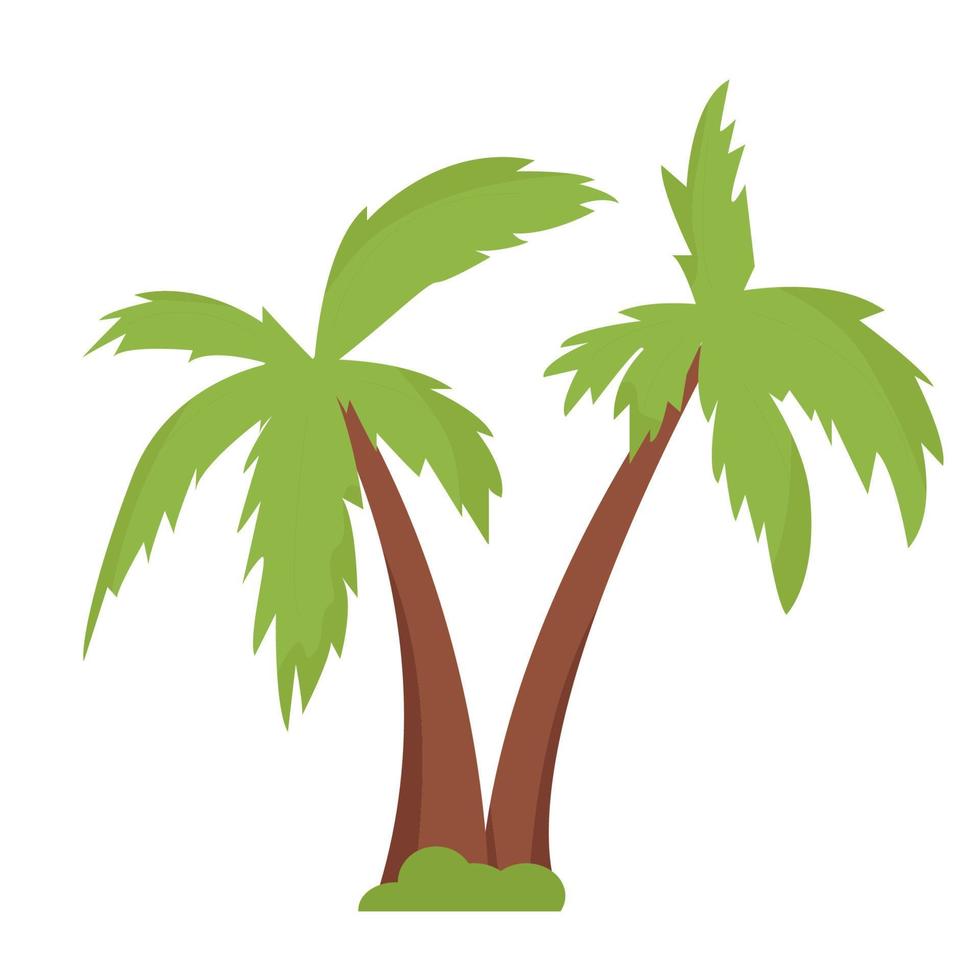 Palm tree in flat style isolated on white background vector