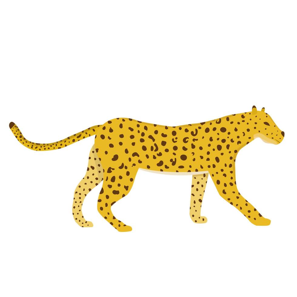 Cheetah in flat style isolated on white background vector