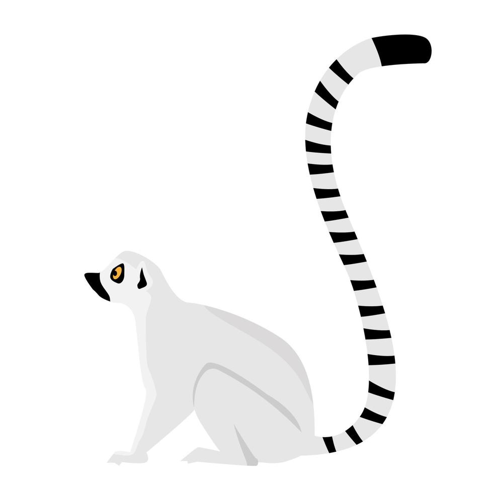 African lemur in flat style isolated on white background vector