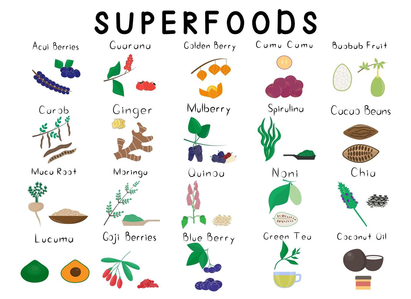 Big set with 20 different superfoods. Healthy detox natural product. Organik dietary supplement fruit. Vegetable, seed, fruit, berry for homeopathy. Cartoon illustration vector