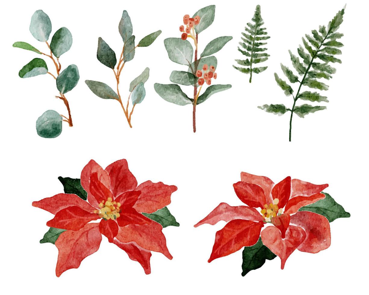 watercolor christmas poinsettia flower bouquet elements collection vector