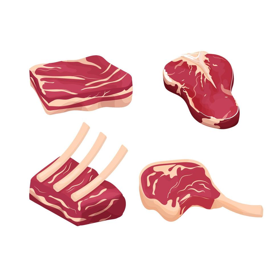 Set difference pieces, slice raw meat, steak isolated on white background. Detailed drawing with fat and rib. Objects, clip art. Close up view. Vector illustration