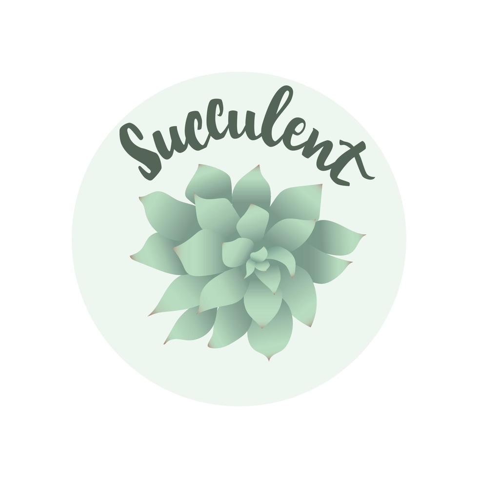 Succulent echeveria vector illustration with hand drawn lettering. Indoor plant top view. Can use for banner, sticker, poster, advertising, element of design template, cards and prints.