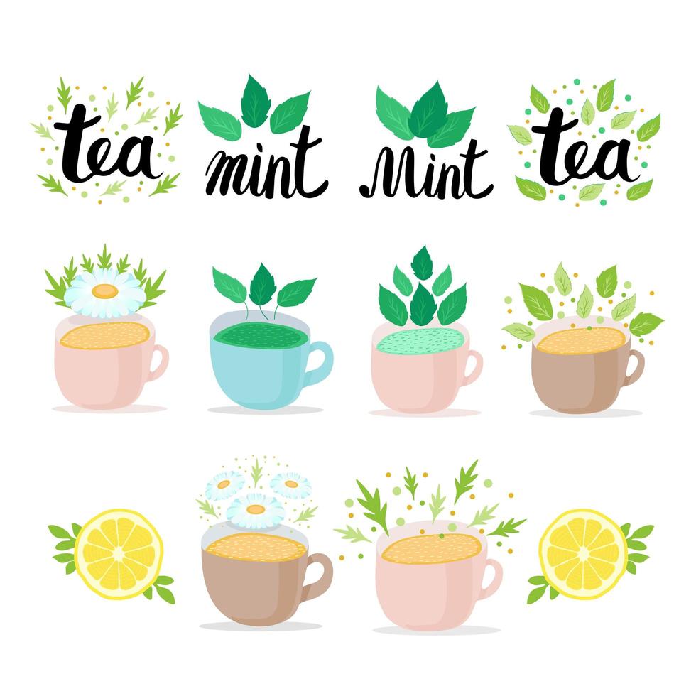 colección de tazas pastel de té de hierbas con menta, limón, hojas de té verde y flores de manzanilla. Letras de té y menta. ilustración vectorial plana sobre fondo blanco. vector