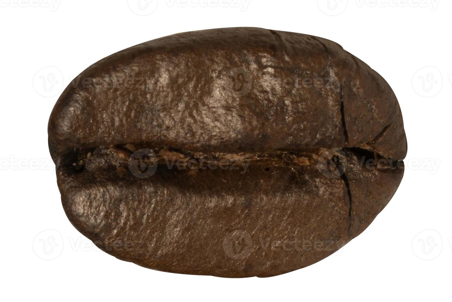 coffee beans roasted photo