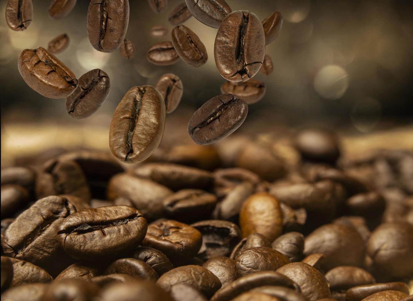 coffee beans roasted photo