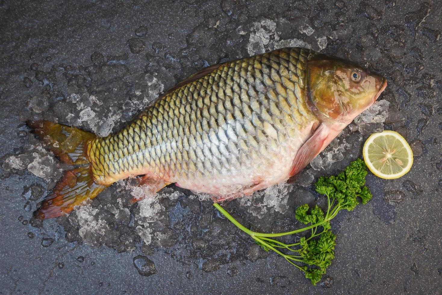 mercado de pescado de agua dulce de carpa común, pescado de carpa, pescado crudo fresco en hielo para comida cocinada con limón sobre fondo oscuro foto