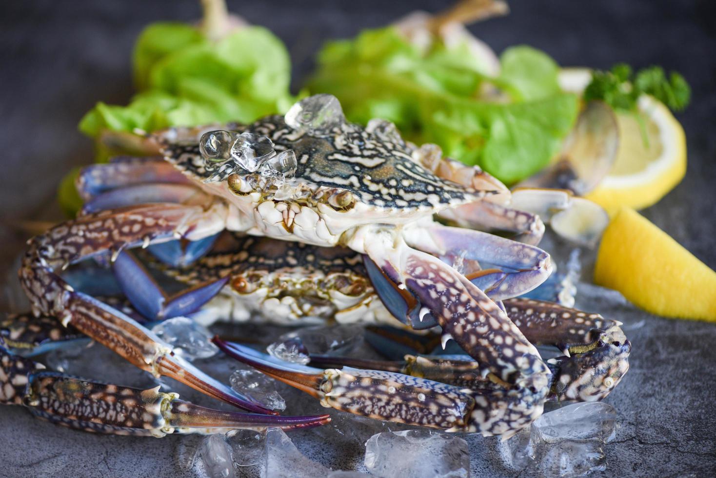 Raw crab on ice with spices lemon and salad lettuce on the dark plate background - fresh crab for cooked food at restaurant or seafood market , Blue swimming crab photo