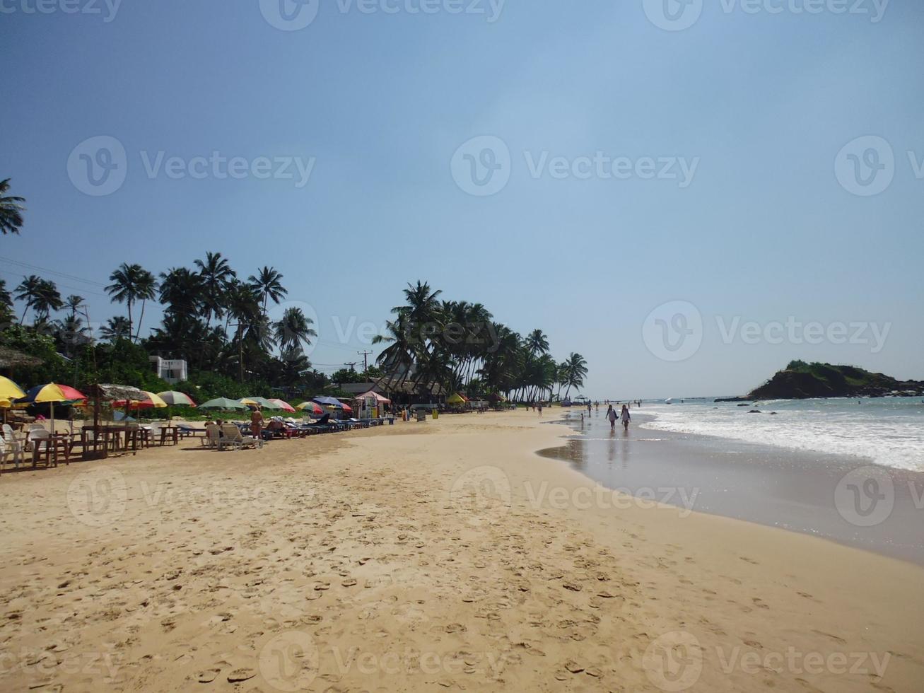 Wide sandy beach with palm trees and sunbeds photo