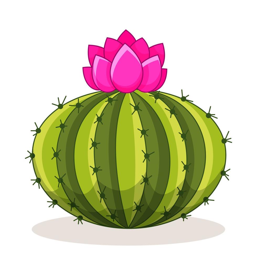 Cactus with thorns and flowers. Mexican green plant with spines. Element of the desert and southern landscape. Cartoon flat vector illustration. Isolated on white background.