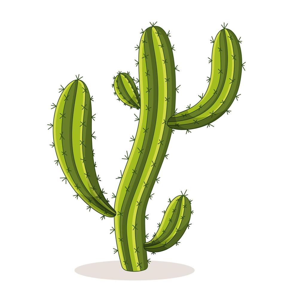 Cactus with thorns. Mexican green plant with spines. Element of the desert and southern landscape. Cartoon flat vector illustration. Isolated on white background.