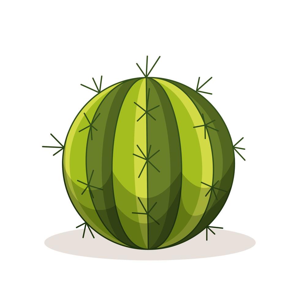 cactus con espinas. planta verde mexicana con espinas. elemento del paisaje del desierto y del sur. ilustración vectorial plana de dibujos animados. aislado sobre fondo blanco. vector