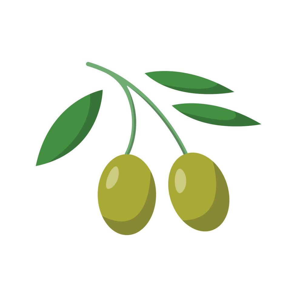 ilustración plana de fruta de oliva. elemento de diseño de icono limpio sobre fondo blanco aislado vector