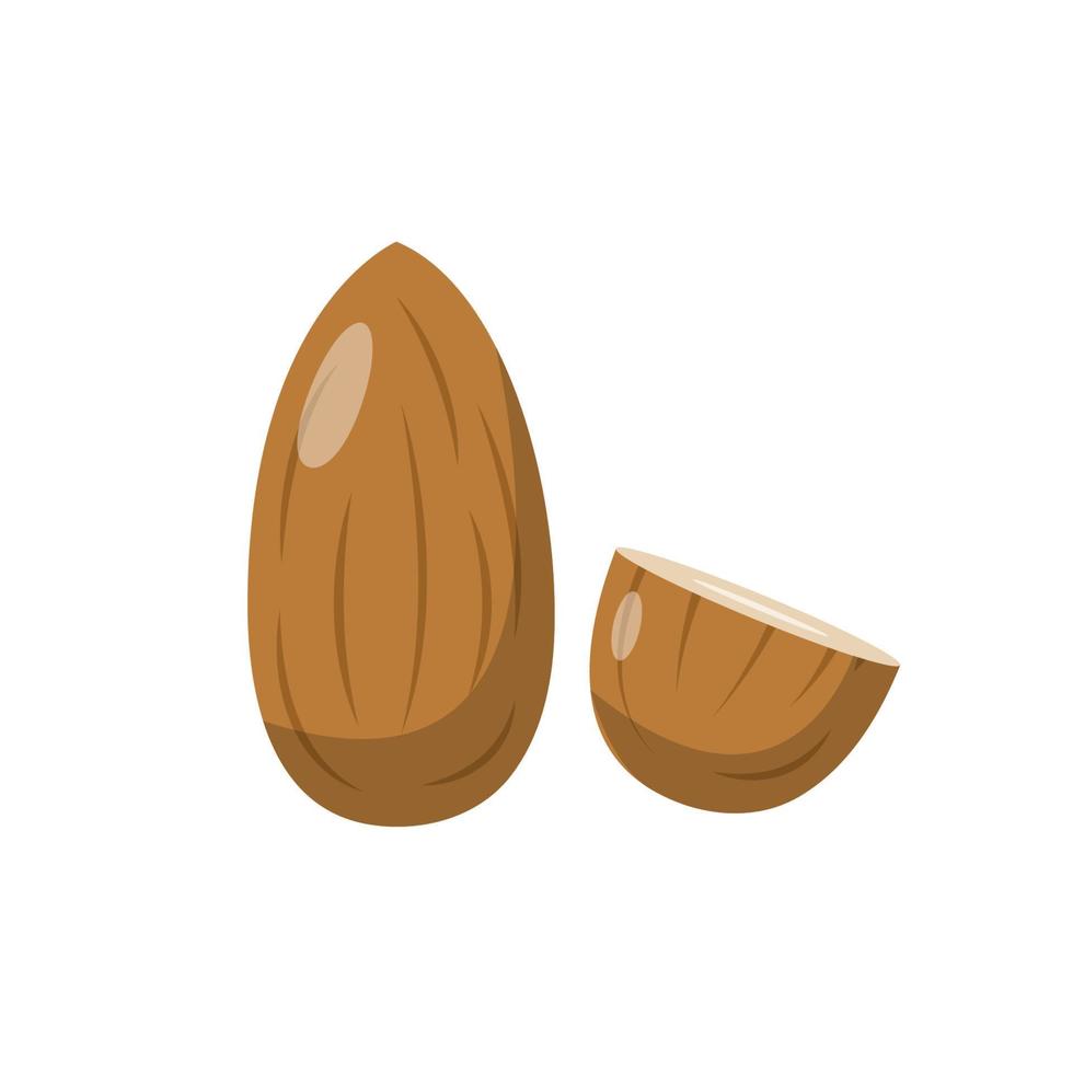 ilustración plana de almendras. elemento de diseño de icono limpio sobre fondo blanco aislado vector