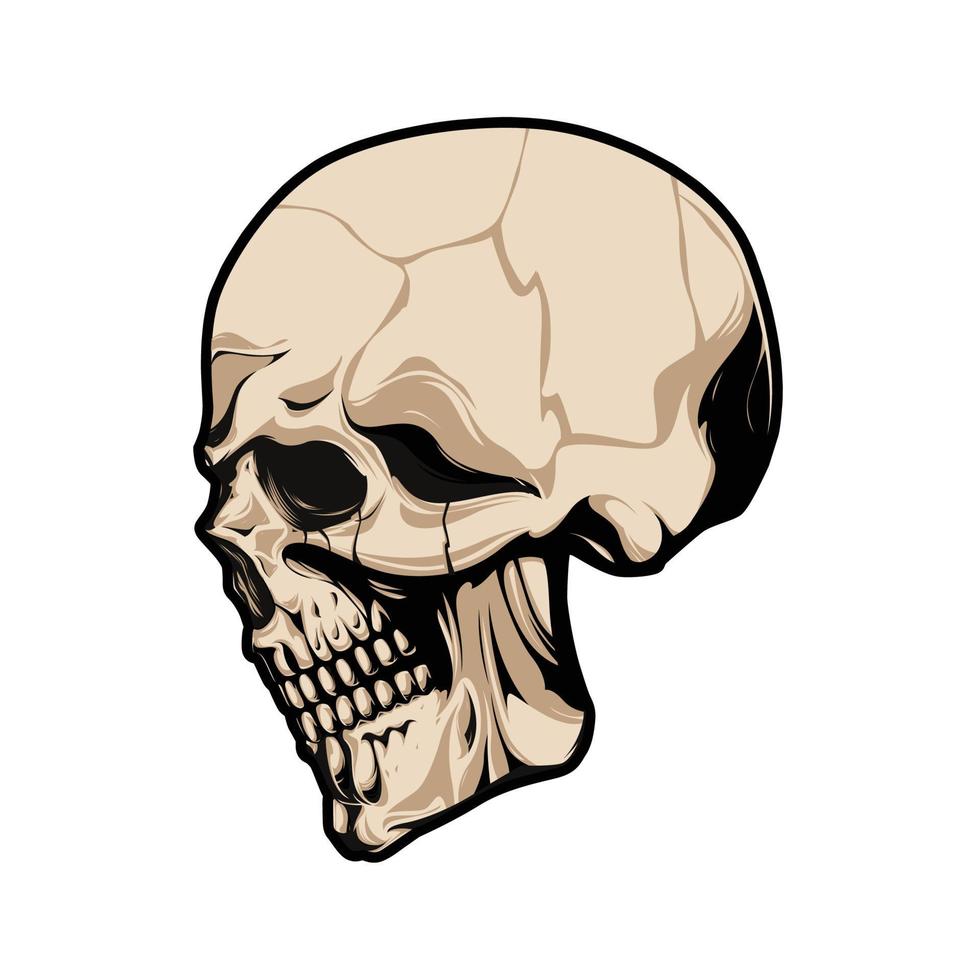 Skull Head Vector for Sticker