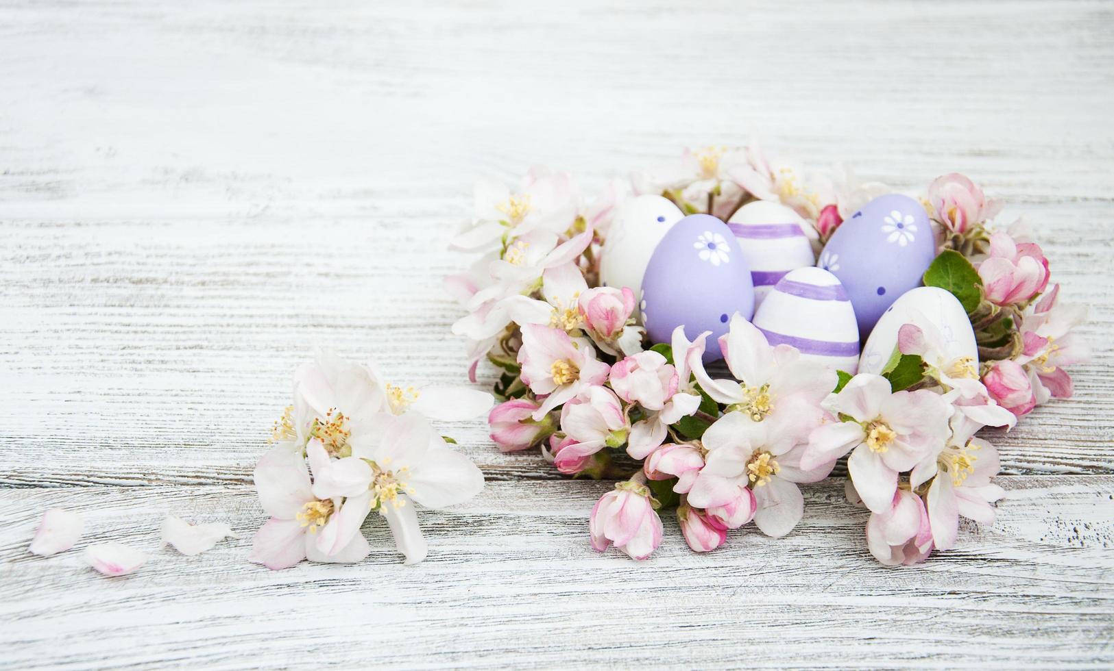 Easter eggs and apple blossom photo