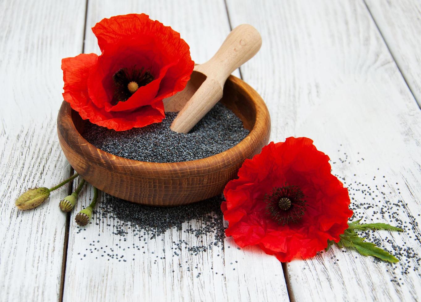 Bowl with poppy seeds photo