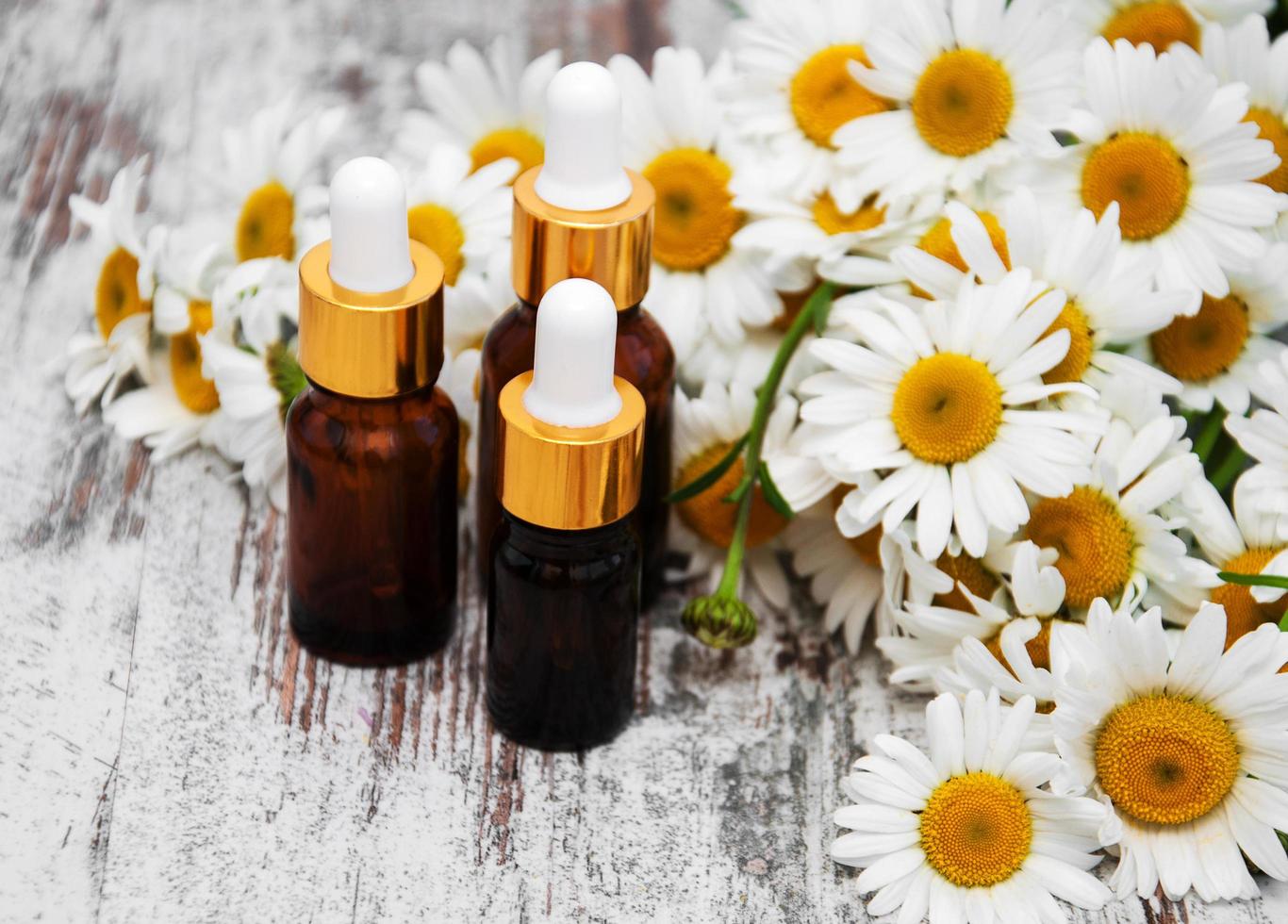 Essencial oil and camomile photo