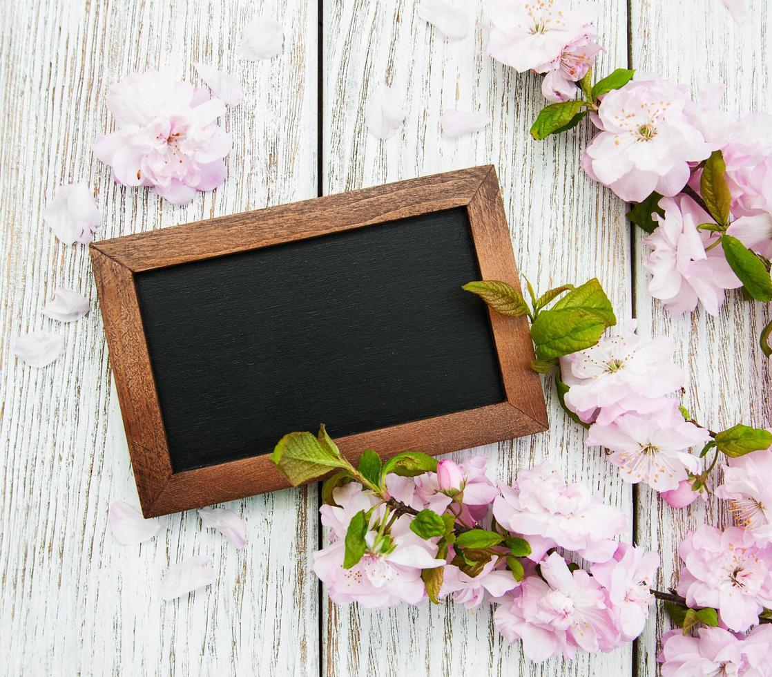 Sakura blossom with blackboard photo