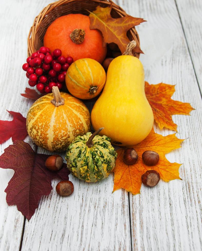 Pumpkin and leaves photo