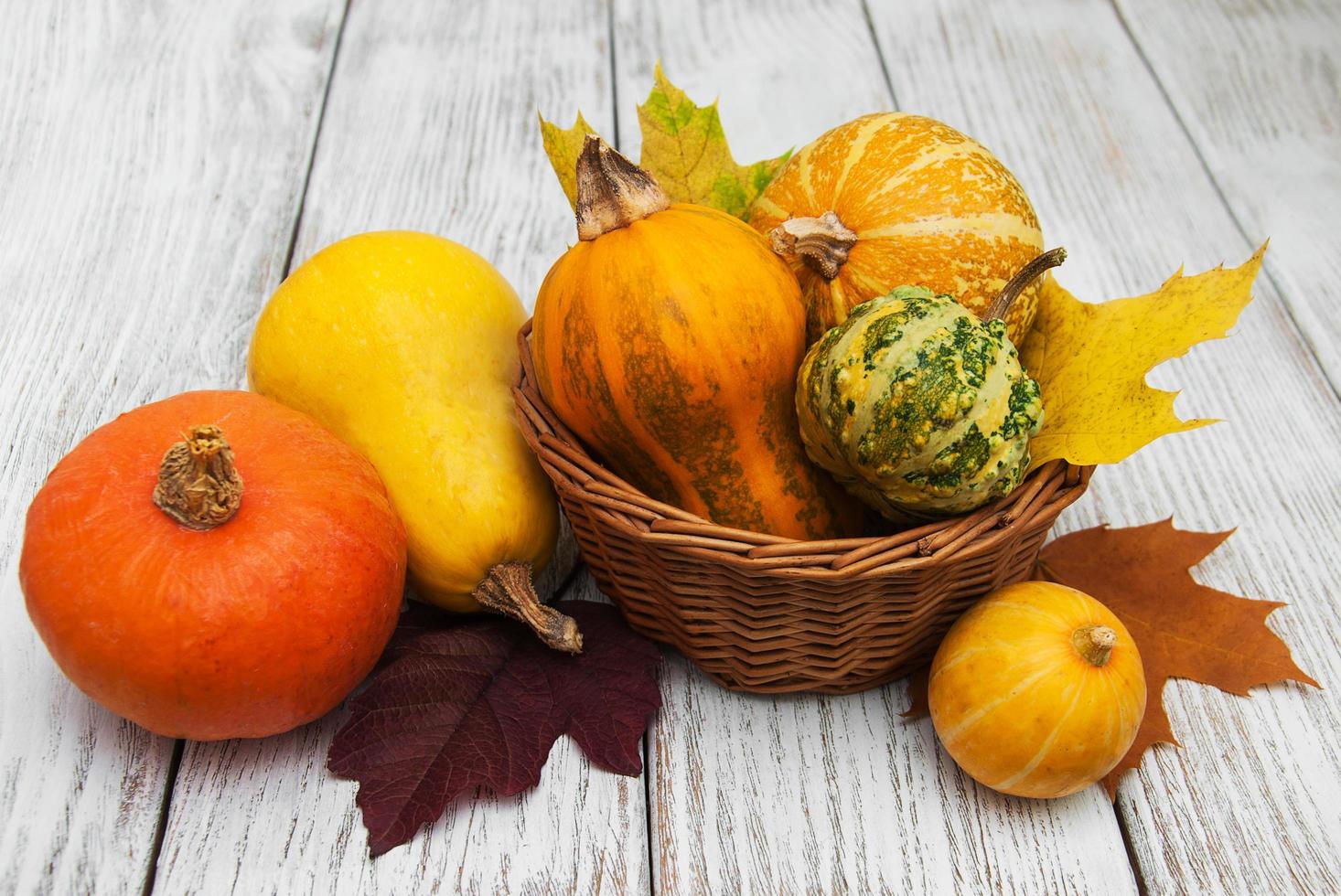 Pumpkin and leaves photo