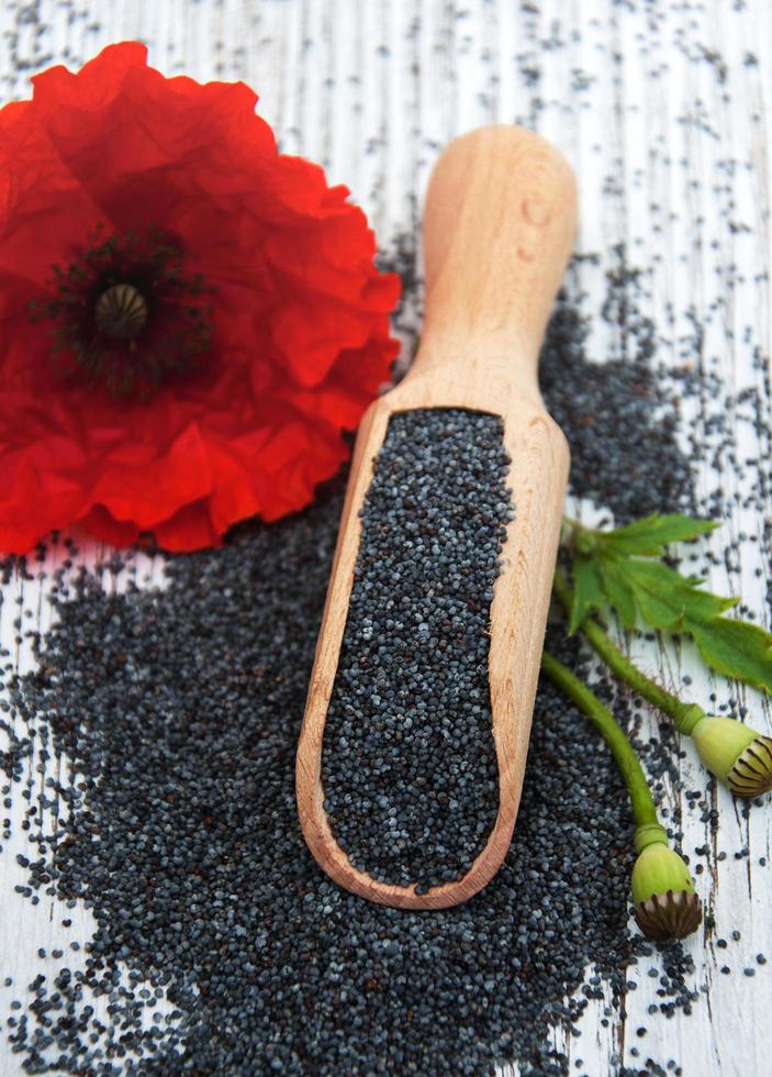 Poppy seeds and flowers photo