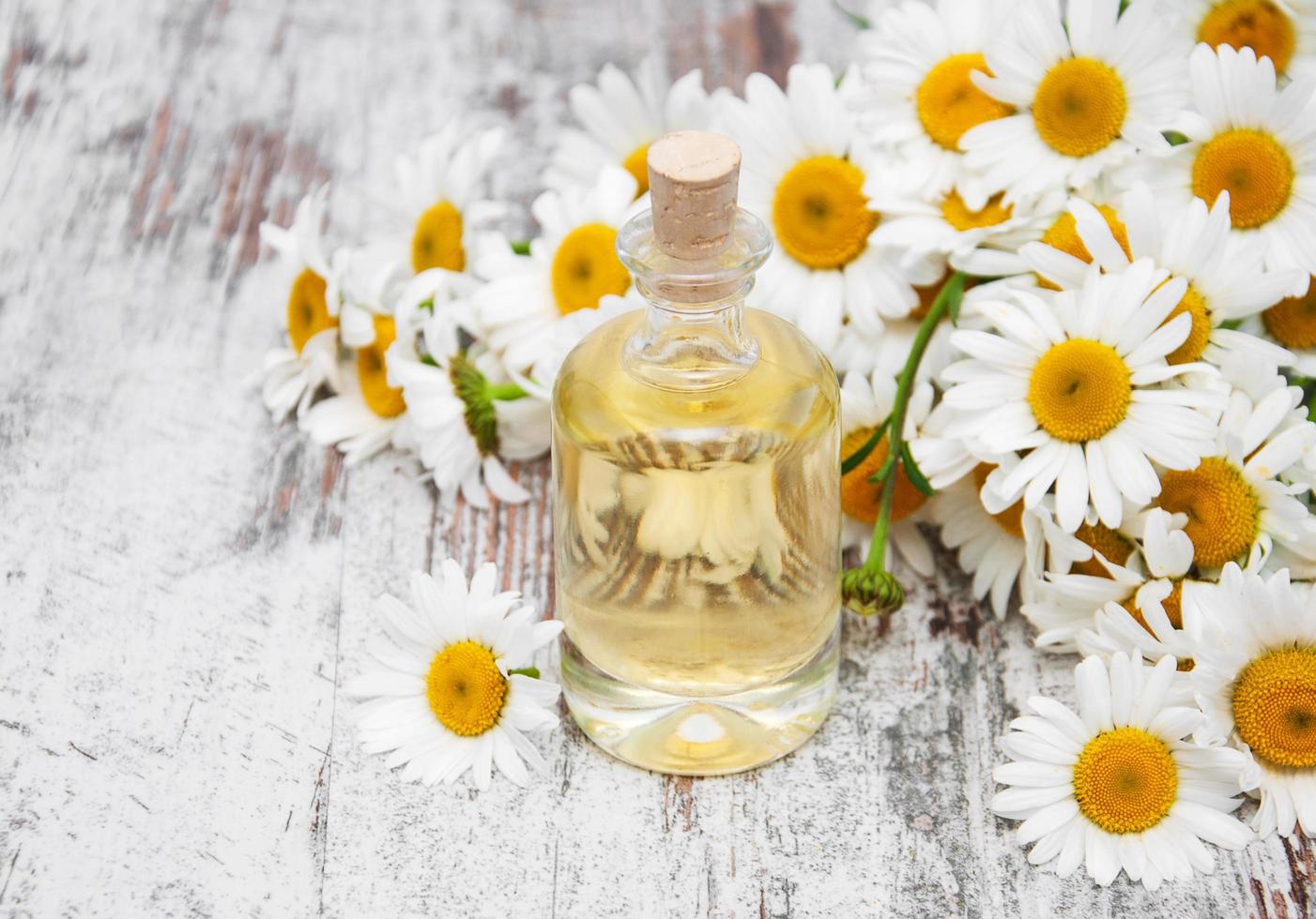Essencial oil and camomile photo