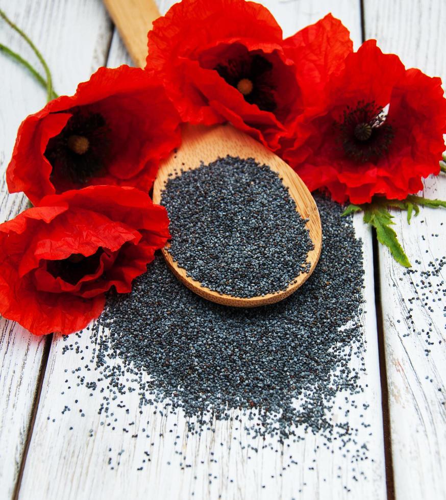 Poppy seeds and flowers photo