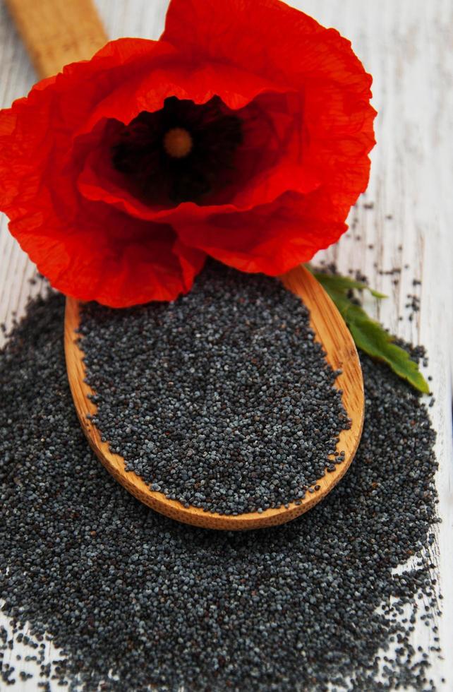 Poppy seeds and flowers photo