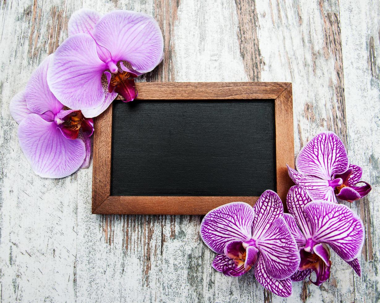 Blackboard and orchids photo