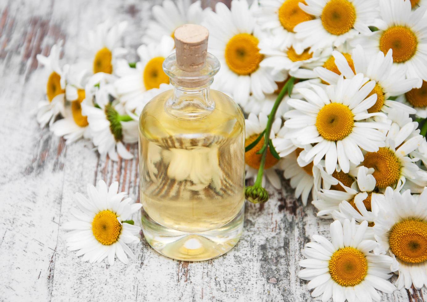 Essencial oil and camomile photo