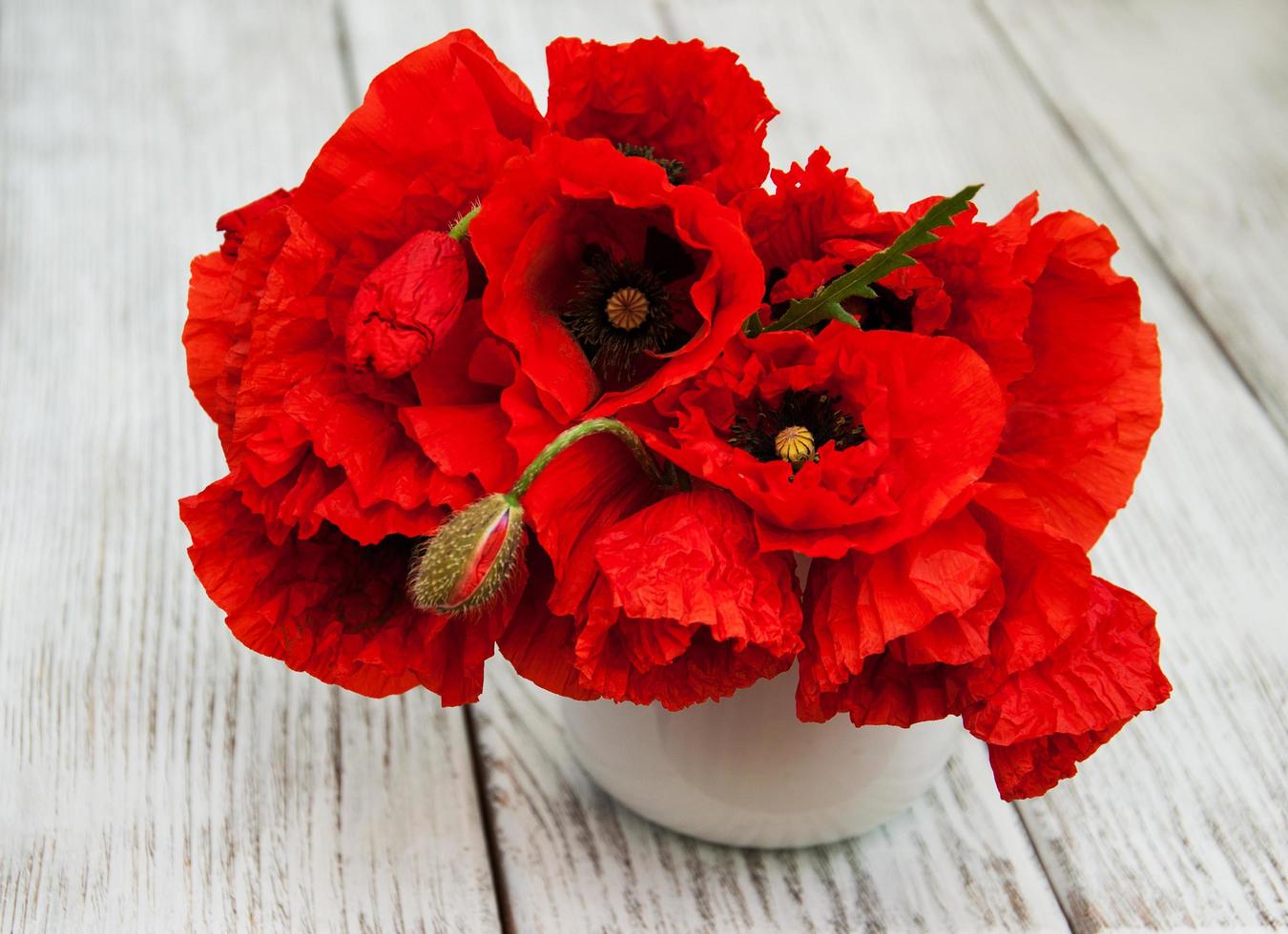 Red poppies in a vase photo