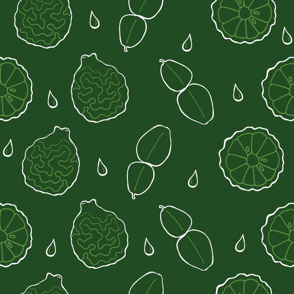 Bergamot Citrus hystrix leaf, fruit, fruit cross section, seamless pattern. Hand drawing vegetables on green background vector illustration.