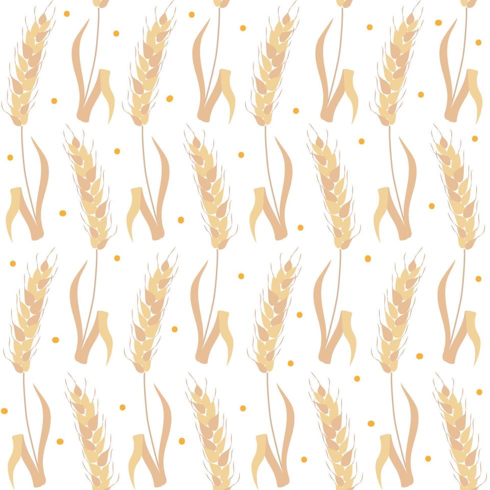 Wheat seamless pattern, vector illustration.