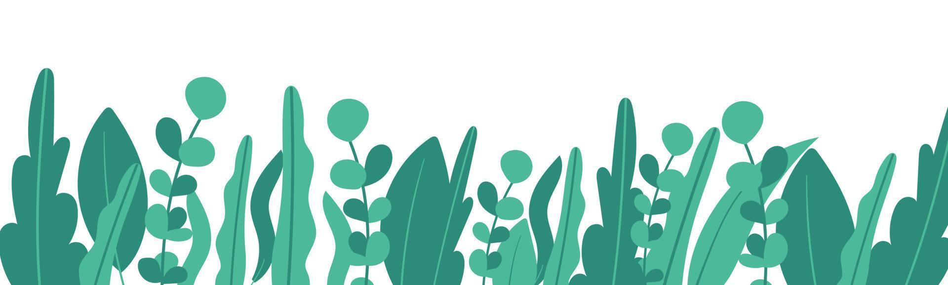 banner vectorial minimalista de plantas. flores dibujadas a mano, hierba, ramas, hojas sobre un fondo blanco. patrón horizontal simple verde. estilo plano sencillo. todos los elementos están aislados y editables vector