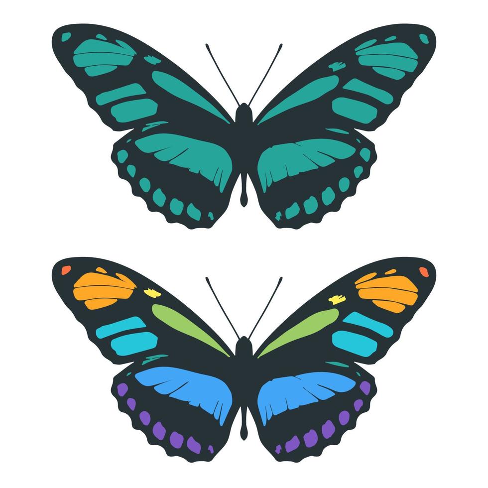 Small butterflies vector set, drawing butterfly, black and colorful spring aesthetic butterfly isolated on white background.