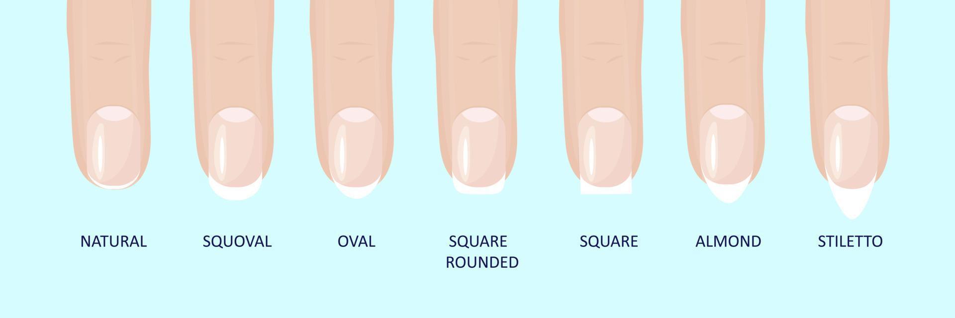 Manicure most popular fashion nail shapes flat style vector illustration set isolated light blue background.