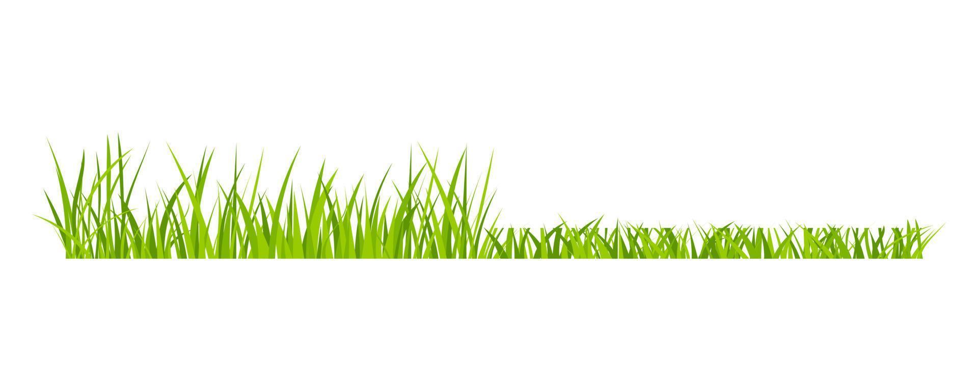 Ilustración de vector de diseño de estilo plano de borde de campo de césped de pradera verde aislado sobre fondo blanco.
