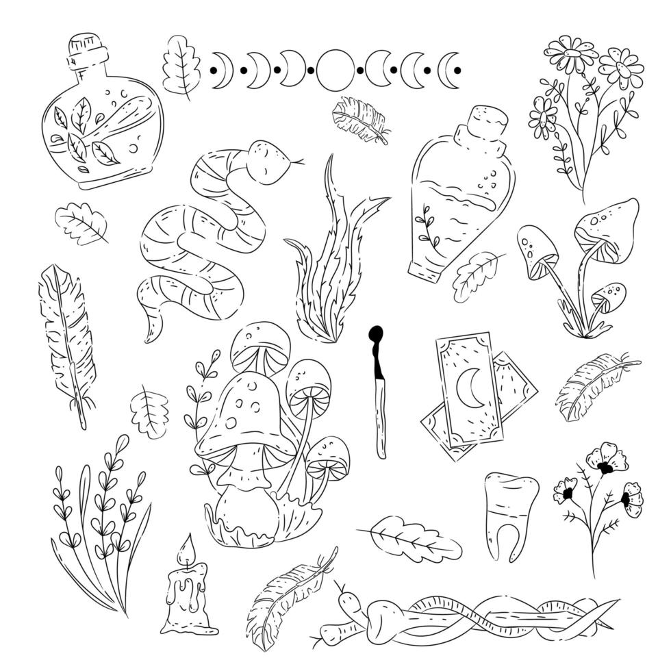 Collection of objects of mysticism and astrology. Mystical signs, silhouettes, signs of the zodiac. vector