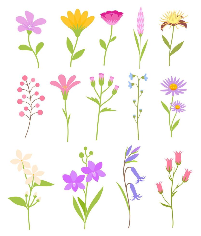 conjunto colorido de elementos de flores florales vector