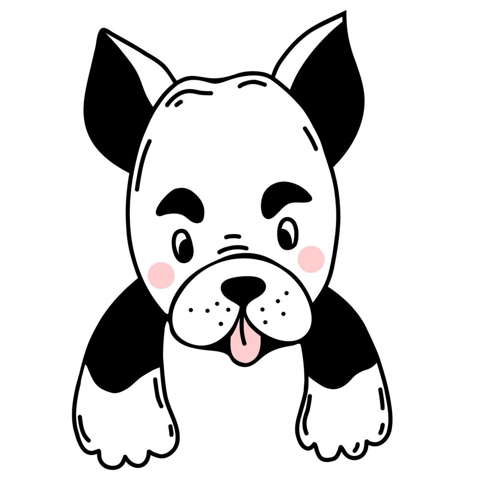 cute little puppy. Vector illustration in linear hand drawn doodle style