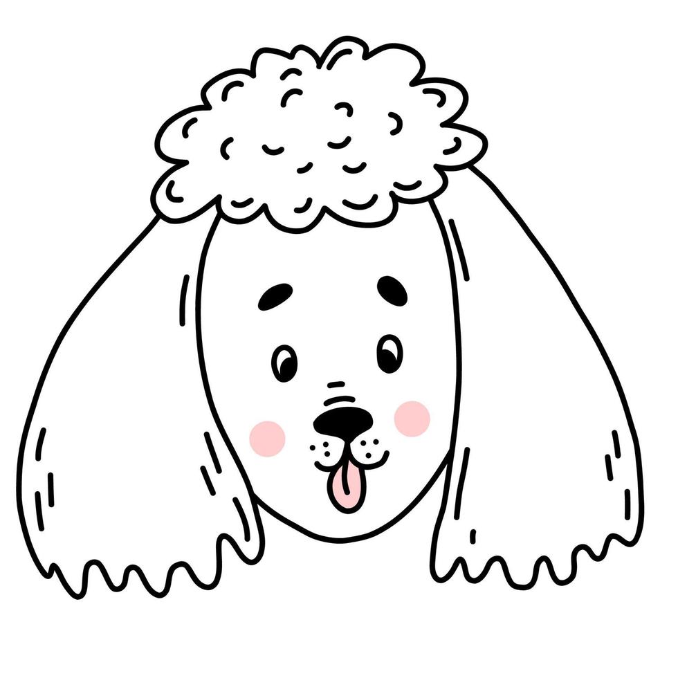 cute poodle. Vector illustration in linear hand drawn doodle style