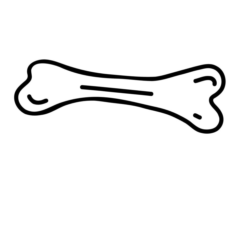 dog bone. Vector illustration in linear hand drawn doodle style