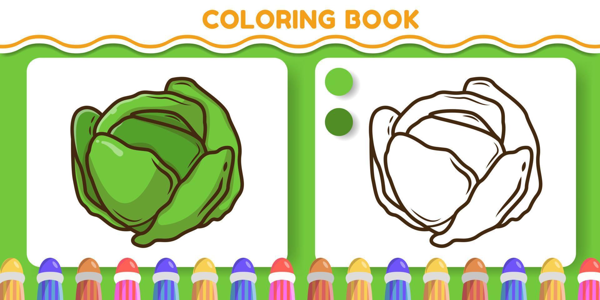 Colorful and black and white cabbage hand drawn cartoon doodle coloring book for kids vector