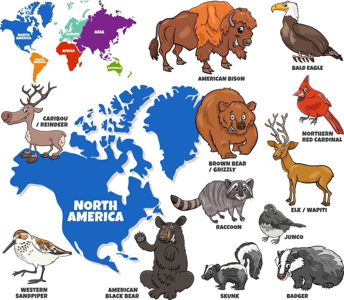 ilustración educativa del conjunto de animales norteamericanos de dibujos animados vector