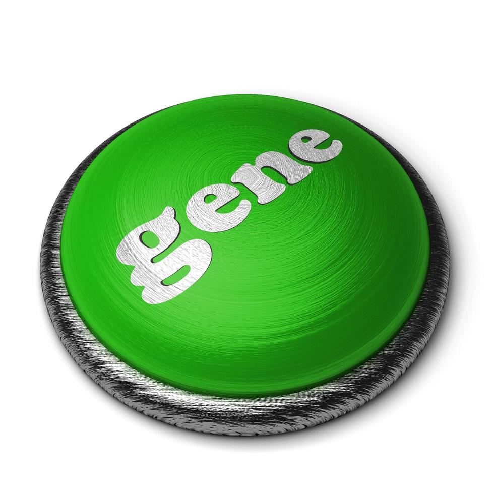 palabra gen en el botón verde aislado en blanco foto