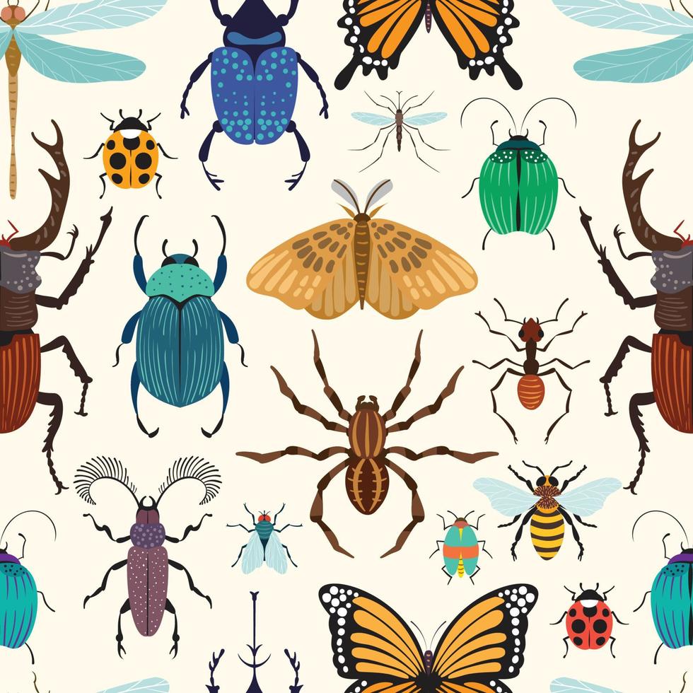 varios insectos y bichos doodle patrón sin costuras vector