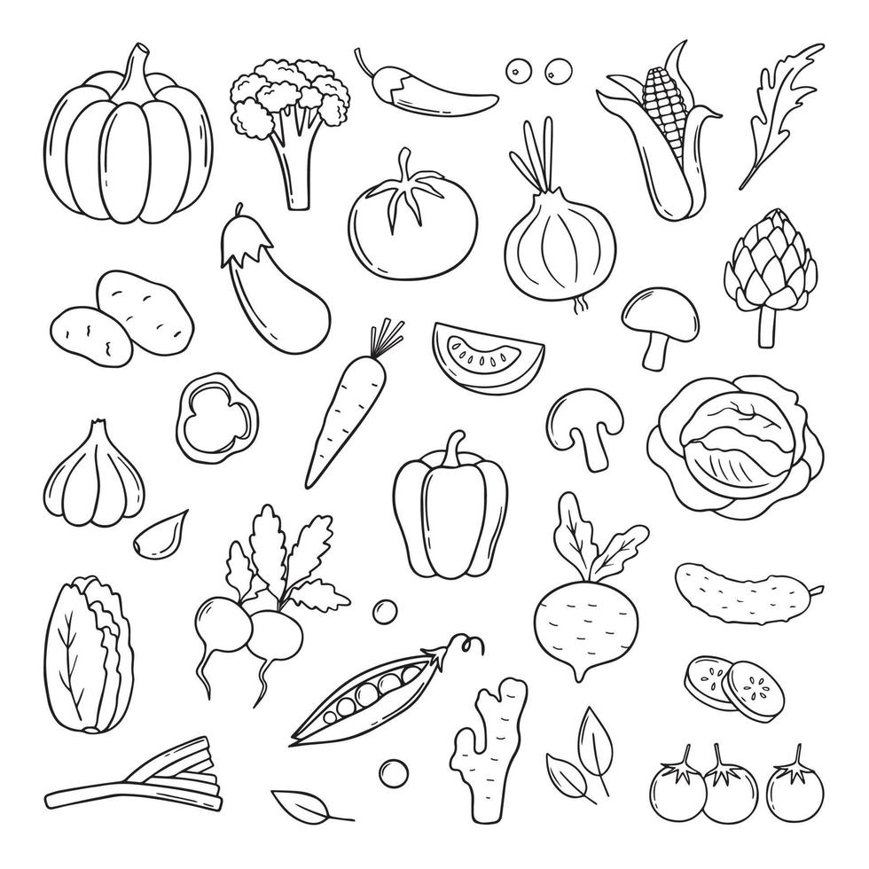 Hand drawn set of vegetables doodle. Carrot, radish, salad, cucumber, cabbage in sketch style.  Vector illustration isolated on white background.