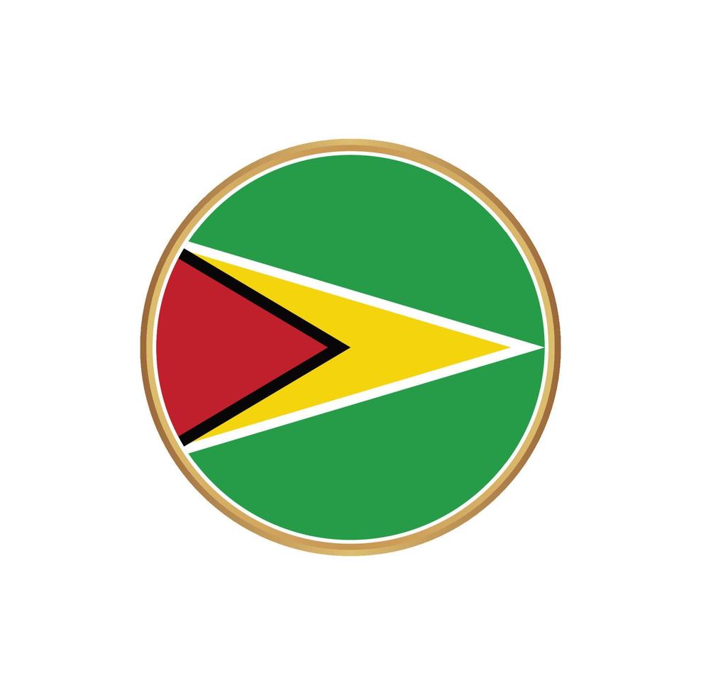 Guyana flag with golden frame vector